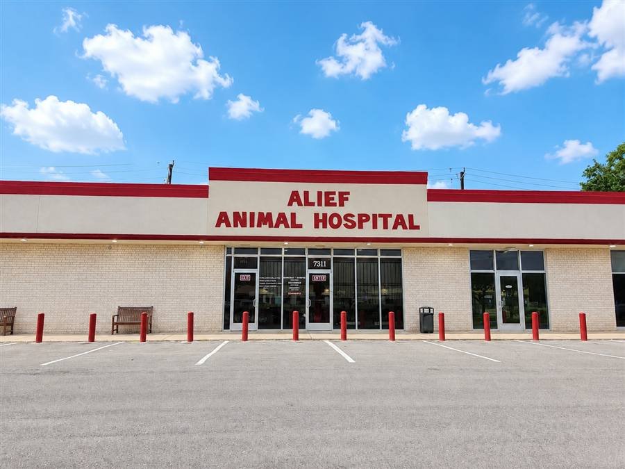Front of Alief Animal Hospital at 7311 South Kirkwood, Houston, TX